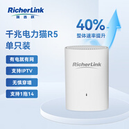 RicherLink瑞吉聯(lián)R5千兆迷你有線擴(kuò)展PLC電力貓?jiān)鰪?qiáng)版單只裝家用路由器穿墻套裝免布線支持IPTV