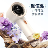 小今【16℃空調(diào)冷風(fēng)】手持小風(fēng)扇制冷空調(diào)迷你便攜靜音渦輪桌面小風(fēng)炮高速大風(fēng)力充電風(fēng)扇學(xué)生超長(zhǎng)續(xù)航 【頂配版】200檔全身降溫丨16°C澎湃冷風(fēng)丨白 【超長(zhǎng)續(xù)航】下單即送丨2年質(zhì)保只換不修