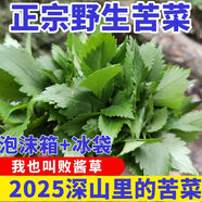 苦菜新鮮野菜苦齋菜客家苦婆菜敗醬草苦丁菜時(shí)令現(xiàn)摘現(xiàn)發(fā)整箱包郵 100g