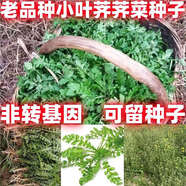 老品種薺薺菜種子按斤賣(mài)野菜小葉薺菜蔬菜易種植春秋可播種好吃 【100克】老品種小葉薺薺菜種子