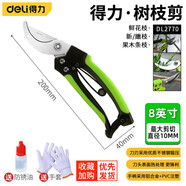 得力省力果樹剪刀修枝剪剪枝剪園藝剪刀樹枝修剪粗枝花藝盆栽剪子工具 家用豪華款8寸不銹鋼（0-10mm）