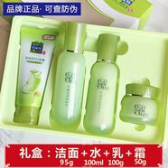 百雀羚（PECHOIN）護膚品套裝草本精華補水亮膚冬天擦臉霜保濕滋潤四件套七夕 百雀羚老款草本四件套