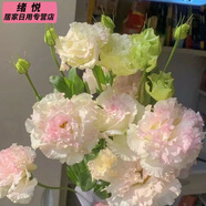 全色系稀有洋桔梗無刺玫瑰鮮花花束云南直發(fā)插花洋玫瑰花束混搭 冰淇淋洋桔梗(15-20朵花) 收藏商品送保鮮劑(花壞按比例賠