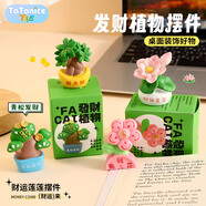 TaTanice兒童創(chuàng)意玩具發(fā)財樹擺件青松發(fā)財好運有錢花趣味擺件生日禮物