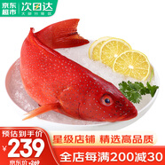 哆鮮生 海捕石斑魚 野外生長鮮活冷凍東星斑龍躉斑三去龍膽斑魚類生鮮 海捕東星斑 550-650克