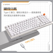 聯(lián)想聯(lián)想MK9/K5/K5 Pro/MK5機(jī)械鍵盤(pán) 游戲機(jī)械鍵盤(pán)  酷炫光效 有線 無(wú)線電腦機(jī)械鍵盤(pán)學(xué)生電競(jìng)LOL吃雞 [鍵線分離] MK9青軸 櫻花白