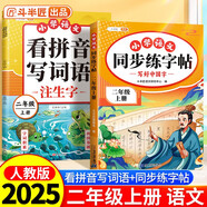 斗半匠 同步練字帖二年級(jí)上冊(cè) 看拼音寫詞語(yǔ) 小學(xué)語(yǔ)文一年級(jí)練習(xí)冊(cè)拼音拼讀生字默寫專項(xiàng)每日一練【2冊(cè)】