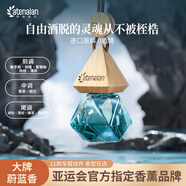 阿迪納蘭車(chē)載香氛酒店禪茶龍井萃桂花香水除異味掛件車(chē)內汽車(chē)香薰持久留香 【海鹽香根草】 香奈兒蔚藍同款 10ml