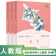 童年+愛(ài)的教育+小英雄雨來(lái) 人教版快樂(lè)讀書吧六年級(jí)上冊(cè)套裝 曹文軒、陳先云主編語(yǔ)文教科書配套書目