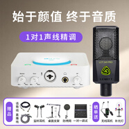 艾肯白色U Solo外置聲卡電腦手機通用主播直播錄音K歌麥克風(fēng)話(huà)筒聲卡設備套裝 U Solo+萊維特240pro