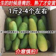 海南象牙芒果整箱腰芒大果生當(dāng)應(yīng)季新鮮水果青芒果現(xiàn)摘甜無(wú)絲 精選中大果(1斤2-4個(gè)) 9-10斤帶箱(8.8-9斤凈重)