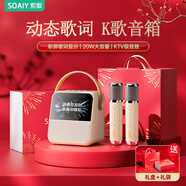 索愛(ài)（soaiy）GC200PRO歌詞藍(lán)牙音箱k歌話(huà)筒麥克風(fēng)一體式用家庭用兒童ktv音響唱歌男女生日伴手禮物 禮盒版