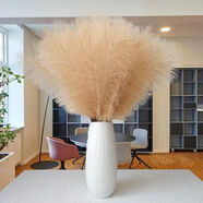 草木鮮生蘆葦花咖色高仿真花束網紅客廳擺設蒲葦大花穗室內桌面擺件