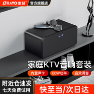雷登（OHAYO）S10家庭KTV音響套裝卡拉ok機手機電視練歌客廳小型點歌機點歌機家用家庭音箱大功率唱歌音響 黑色80W【雙麥】 官方標配+彩燈