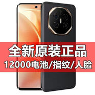 譽(yù)品全新款電霸超長(zhǎng)待機(jī)12000大電池商務(wù)智能手機(jī)512G雙卡5G指紋游戲 黑色【大電池支持反向充電】 512G【全新未拆封】