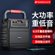 山水（SANSUI）SS20無(wú)線藍(lán)牙音響手提便攜家用戶(hù)外K歌演出廣場(chǎng)舞音箱大功率重低音大音量唱歌聲卡播放器  尊享版【送充電線】