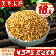 味裕欣黃芥末籽500克白芥子食用芥茉孑粉自制涼粉介未芥末醬jemo芥菜籽 黃芥末籽【夠嗆辣香】250g