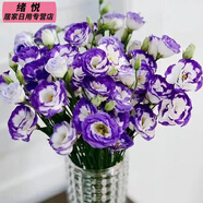 全色系稀有洋桔梗無刺玫瑰鮮花花束云南直發(fā)插花洋玫瑰花束混搭 紫邊洋桔梗(15-20朵花) 收藏商品送保鮮劑(花壞按比例賠