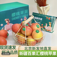 阿克蘇蘋(píng)果(AKSU APPLE)正宗新疆阿克蘇櫻桃小蘋(píng)果【旗艦】冰糖心當季水果脆甜鮮果禮盒裝 精選10斤特中果(65-75m家庭首選