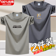 賓宇兄弟（BINYUXD）夏季純棉短袖T恤男圓領(lǐng)潮流印花ins上衣百搭半袖男大碼體恤打底衫 EXP卡其+潮K鐵灰 S 【適合：75-95斤】