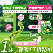 倍歡喜 野餐春游網(wǎng)紅太陽(yáng)花笑臉花朵氣球雛菊兒童生日場(chǎng)景布置拍照裝飾 春天kt板路引【1對裝60*120cm】