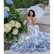 寶喬旭跨境新款春夏露肩歐美女裝時(shí)尚歐根紗仙氣長(cháng)款氣質(zhì)晚禮服連衣裙 藍色 2XL