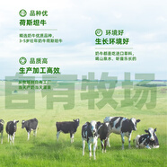 九峰牧場甜牛奶咖啡伴侶拿鐵咖啡專用奶咖啡牛奶液態(tài)奶208ml12瓶 清潔配方甜牛奶208ml*12瓶