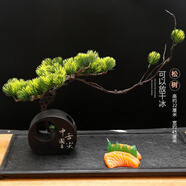 SKIDS酒店餐廳廚房擺盤(pán)裝飾花草刺身梅花盤(pán)飾中式點(diǎn)綴創(chuàng  )意擺件涼菜菜品 半圓意境綠色迎客松可放干冰