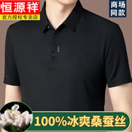 恒源祥品牌高檔無痕桑蠶絲短袖T恤男士夏季新款商務(wù)休閑真絲體恤爸爸裝 黑色【高檔桑蠶絲】 2XL 180/96A 建議150-170斤