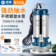 臣源不銹鋼潛水泵220V家用井水抽水泵農(nóng)用清水污水泵小型高揚(yáng)程排污泵 750W/1寸不銹鋼清水泵+10米線