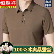 恒源祥品牌高檔無(wú)痕桑蠶絲短袖T恤男士夏季新款商務(wù)休閑真絲體恤爸爸裝 卡其【高檔桑蠶絲】 L 170/88A 建議120-135斤
