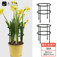 九千谷植物支撐架支撐樁蟹爪蘭花架陽臺(tái)花園植物爬藤架19.5*25cm2套6447