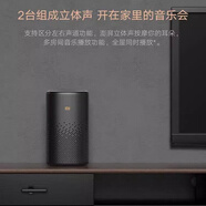 小米（MI）音箱智能音箱Pro遙控藍牙AI智能機器人小米音響 電源適配器