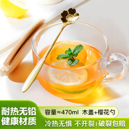 迪普爾早餐杯大容量玻璃杯燕麥片家用女牛奶杯帶蓋勺碗水杯帶把咖啡杯子