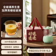 心意滿(mǎn)滿(mǎn)中秋博餅禮品送員工活動(dòng)獎品養生壺電燉水杯伴手禮盒周年慶紀念品 綠色;智能
