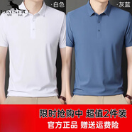 袋鼠（DAISHU）桑蠶絲短袖T恤男夏季新款真絲|短袖恤男無痕翻領(lǐng)寬松半袖上衣體恤 白色+灰藍(lán) L 170 建議115-135斤