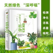 凈化空氣植物大圖鑒 彩圖版 植物百科大全書(shū)籍 植物功效解讀習性介紹  植物功效解讀習性介紹