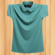 FUYIKU2026男士夏季大碼冰絲翻領(lǐng)短袖t恤寬松POLO休閑半袖速干衣保羅衫 海綠色 M (建議70-90斤）
