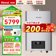 林內（Rinnai）平衡式零冷水燃氣熱水器RUS-R16U53G-CH防凍櫥柜浴室開(kāi)放式廚房專(zhuān)用恒溫即開(kāi)即熱 天然氣 16L [平衡式零冷水] R16U53G