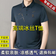皮爾卡丹（pierre cardin）高端冰絲t恤男士半袖上衣服夏季休閑體恤商務(wù)休閑抗皺涼感POLO.衫 哈青 M 推薦【95-115斤】