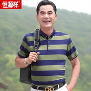 恒源祥（HYX）短袖t恤男夏季新款中年絲光棉polo衫休閑條紋寬松薄款冰絲上衣男 R354綠色 【冰絲】 2XL 180 148斤-165斤