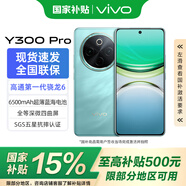 vivo Y300 Pro 國家補貼 6500mAh藍海電池 80W遠航閃充 7.69mm超薄機身 索尼5000萬超清主攝 拍照手機 金鑲玉 12+512GB 官方標配