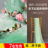 靚做 紗幔網(wǎng)紗布婚禮紗幔窗簾紗網(wǎng)紗布料幼兒園環(huán)創(chuàng  )網(wǎng)紗舞臺拍攝道具 蒂芙尼藍2米【1.6米寬】