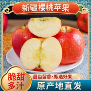 阿克蘇蘋(píng)果(AKSU APPLE)正宗新疆阿克蘇櫻桃小蘋(píng)果【旗艦】冰糖心當季水果脆甜鮮果禮盒裝 甄選5斤中果(65-75m）嘗鮮裝
