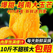 越南玉芒新鮮大青芒果金煌凱特芒當季應季水果批發(fā)價(jià)包郵 【整箱5斤特大果】