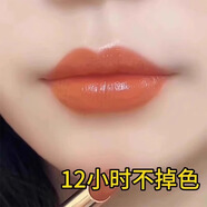 蘭奕【現貨秒發(fā)】顯白接吻不掉色不沾杯不脫色裸色系滋潤口紅 M05#胡蘿卜色【暢銷(xiāo)】 減齡顯嫩A
