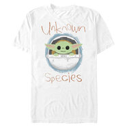 STAR WARSWARS 高大曼達洛里未知物種男式上衣短袖 T 恤, 白色 白色 X-Large Big Tall