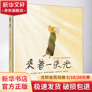 乘著一束光 阿爾伯特 愛因斯坦的故事 幼兒圖書 繪本 早教書 兒童書籍 圖書