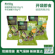 一號農場(chǎng)開(kāi)袋即食田園風(fēng)情沙拉120g*3油醋汁蔬菜沙拉輕食健身代餐源頭直發(fā)