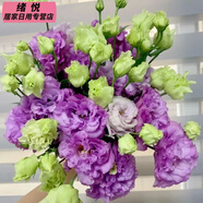 全色系稀有洋桔梗無刺玫瑰鮮花花束云南直發(fā)插花洋玫瑰花束混搭 淺紫色洋桔梗(15-20朵花) 收藏商品送保鮮劑(花壞按比例賠